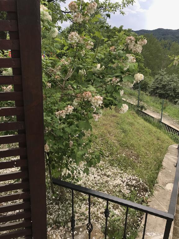 Cabana Breaza - Skyview Cottage מראה חיצוני תמונה